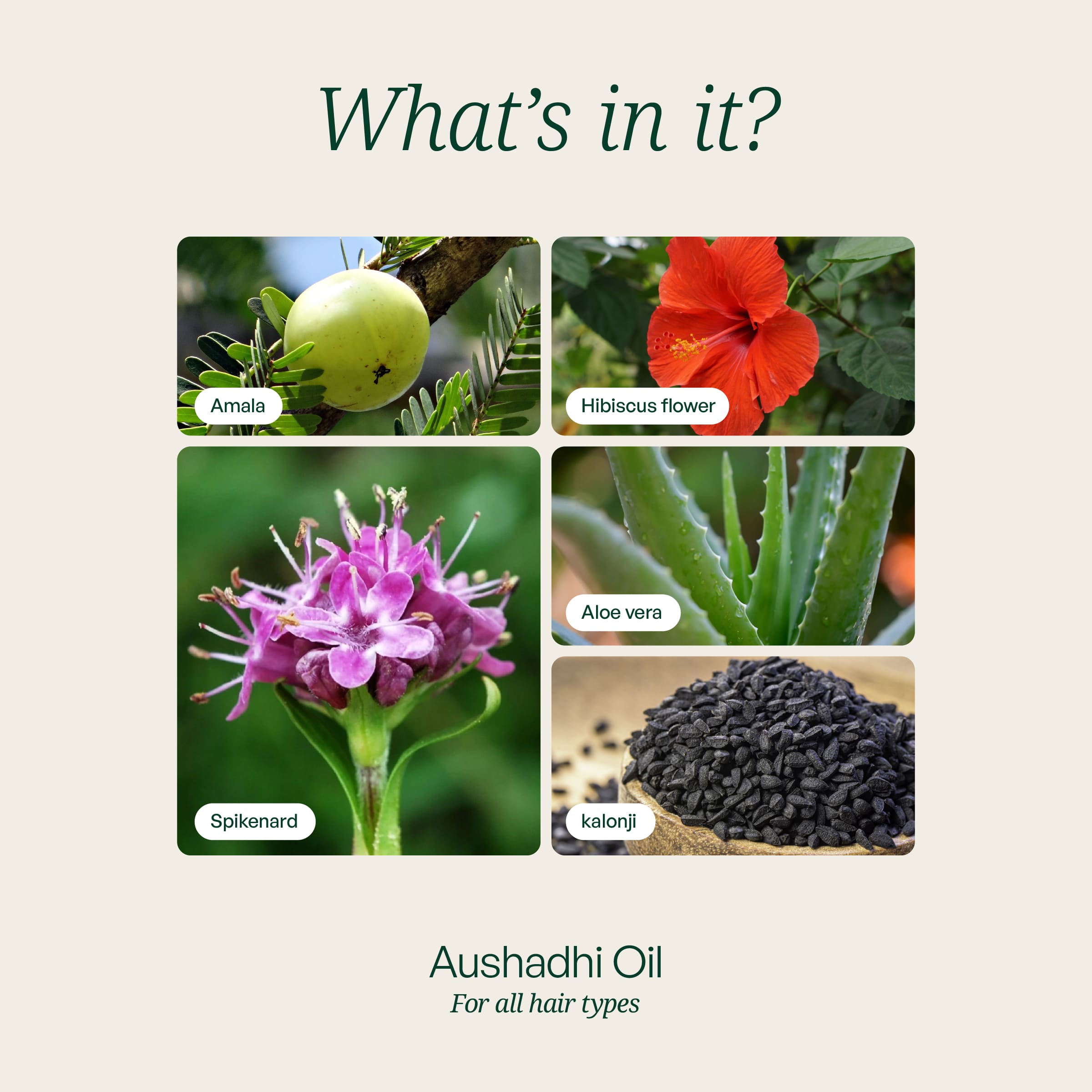 Aushadhi Real Herb Oil
